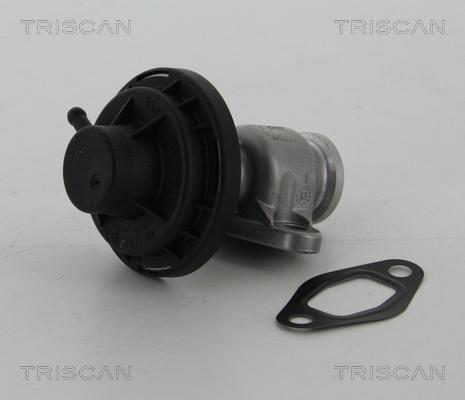 Triscan 8813 29307 - Клапан возврата ОГ autospares.lv