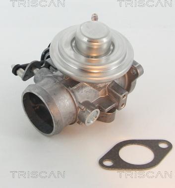 Triscan 8813 29201 - Клапан возврата ОГ autospares.lv