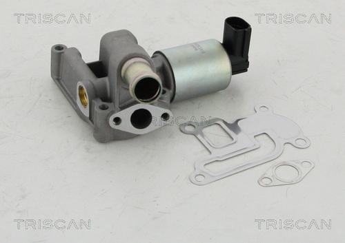 Triscan 8813 24003 - Клапан возврата ОГ autospares.lv