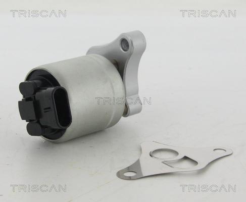 Triscan 8813 24002 - Клапан возврата ОГ autospares.lv