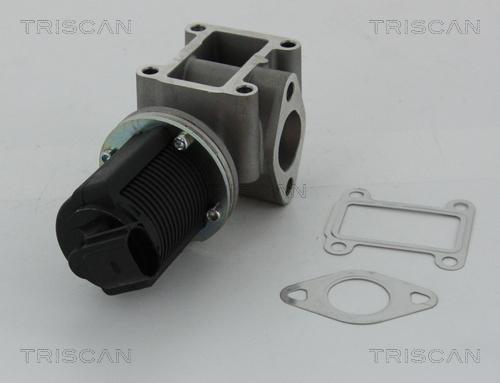Triscan 8813 24082 - Клапан возврата ОГ autospares.lv
