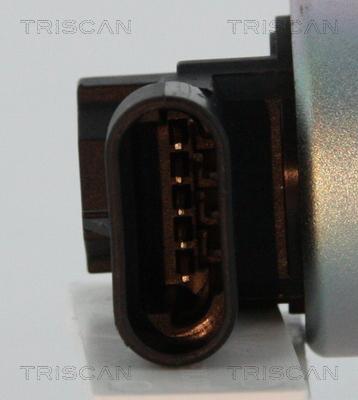 Triscan 8813 24027 - Клапан возврата ОГ autospares.lv