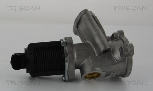 Triscan 8813 24204 - Клапан возврата ОГ autospares.lv