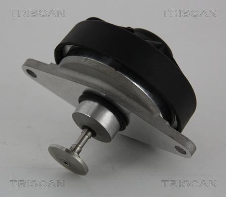 Triscan 8813 24202 - Клапан возврата ОГ autospares.lv
