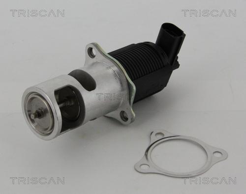 Triscan 8813 25005 - Клапан возврата ОГ autospares.lv