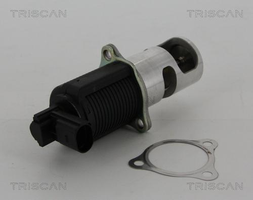 Triscan 8813 25038 - Клапан возврата ОГ autospares.lv