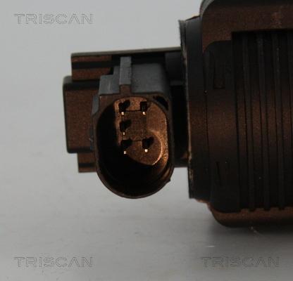 Triscan 8813 25038 - Клапан возврата ОГ autospares.lv