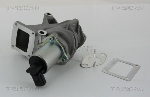 Triscan 8813 25100 - Клапан возврата ОГ autospares.lv