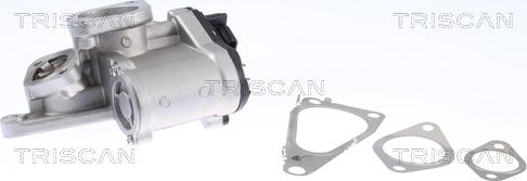 Triscan 8813 25201 - Клапан возврата ОГ autospares.lv