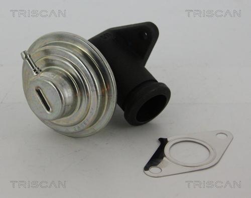 Triscan 8813 28042 - Клапан возврата ОГ autospares.lv