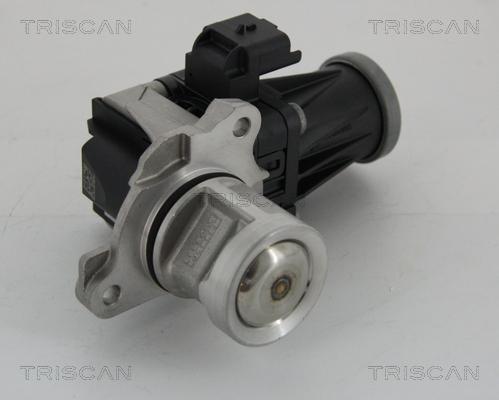 Triscan 8813 28005 - Клапан возврата ОГ autospares.lv