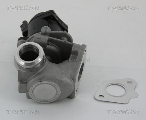 Triscan 8813 28003 - Клапан возврата ОГ autospares.lv