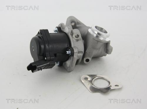 Triscan 8813 28003 - Клапан возврата ОГ autospares.lv