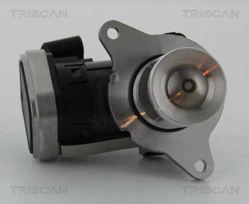 Triscan 8813 23006 - Клапан возврата ОГ autospares.lv