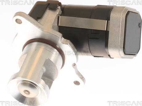Triscan 8813 23036 - Клапан возврата ОГ autospares.lv