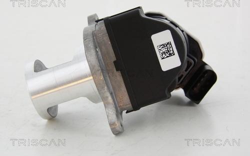 Triscan 8813 23101 - Клапан возврата ОГ autospares.lv
