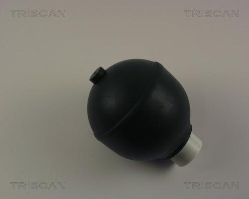 Triscan 8760 38218 - Гидроаккумулятор, подвеска / амортизация autospares.lv