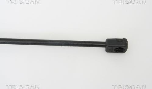 Triscan 8710 43216 - Газовая пружина, упор autospares.lv