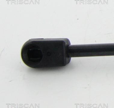 Triscan 8710 67206 - Газовая пружина, упор autospares.lv