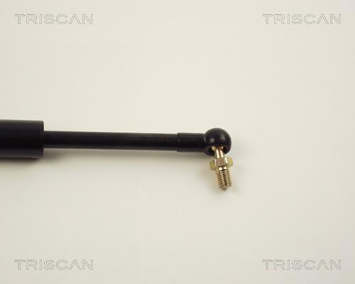 Triscan 8710 14215 - Газовая пружина, упор autospares.lv