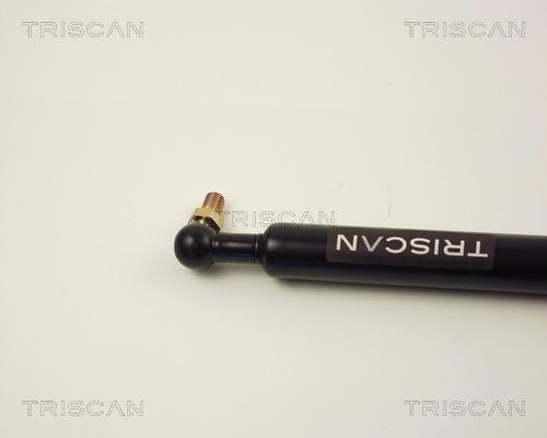 Triscan 8710 14215 - Газовая пружина, упор autospares.lv