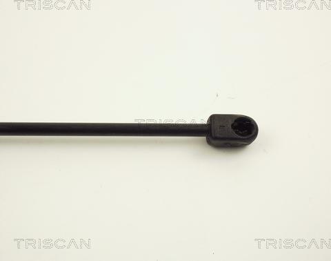 Triscan 8710 1502 - Газовая пружина, упор autospares.lv