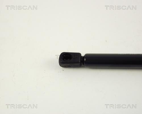 Triscan 8710 15226 - Газовая пружина, упор autospares.lv