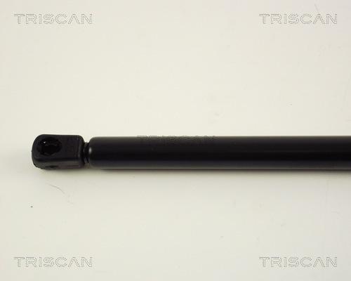 Triscan 8710 16207 - Газовая пружина, упор autospares.lv