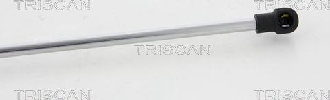Triscan 8710 10214 - Газовая пружина, заднее стекло autospares.lv