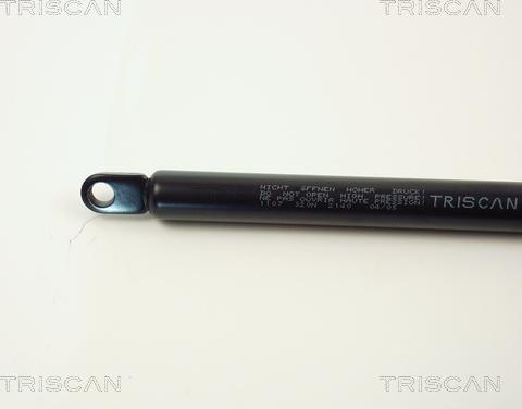 Triscan 8710 1107 - Газовая пружина, упор autospares.lv