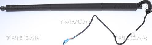 Triscan 8710 11306 - Газовая пружина, упор autospares.lv