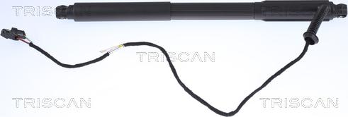 Triscan 8710 11303 - Газовая пружина, упор autospares.lv