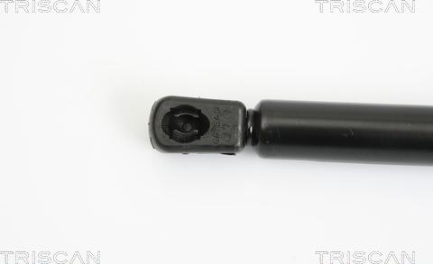 Triscan 8710 18218 - Газовая пружина, упор autospares.lv