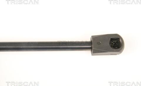 Triscan 8710 80207 - Газовая пружина, заднее стекло autospares.lv