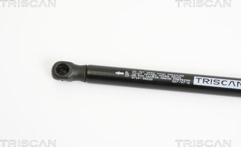 Triscan 8710 38220 - Газовая пружина, упор autospares.lv