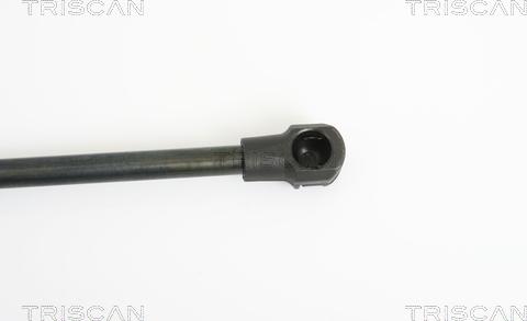 Triscan 8710 38220 - Газовая пружина, упор autospares.lv