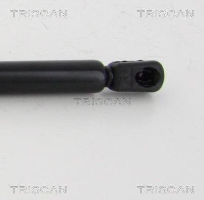 Triscan 8710 292024 - Газовая пружина, упор autospares.lv