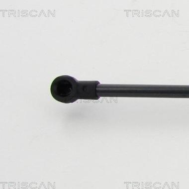 Triscan 8710 292022 - Газовая пружина, упор autospares.lv