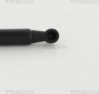 Triscan 8710 292022 - Газовая пружина, упор autospares.lv