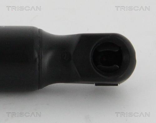 Triscan 8710 24257 - Газовая пружина, упор autospares.lv