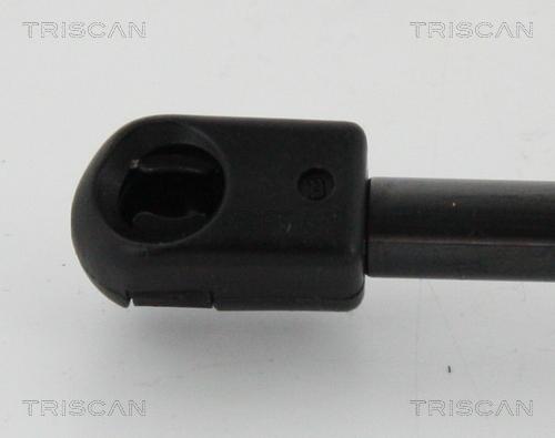 Triscan 8710 24257 - Газовая пружина, упор autospares.lv