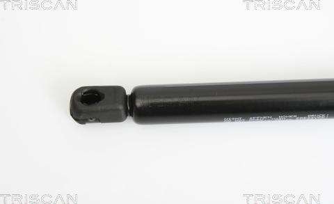 Triscan 8710 24230 - Газовая пружина, упор autospares.lv