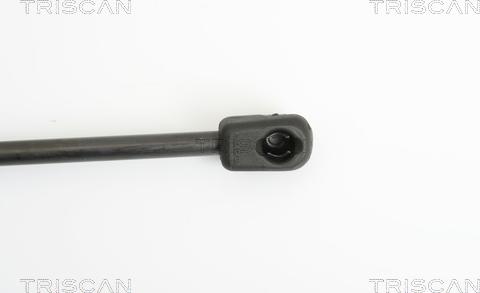 Triscan 8710 24230 - Газовая пружина, упор autospares.lv