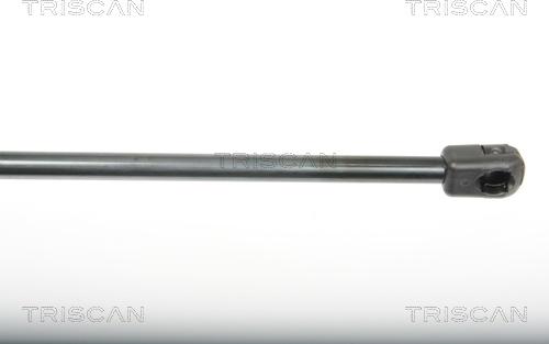 Triscan 8710 25243 - Газовая пружина, упор autospares.lv