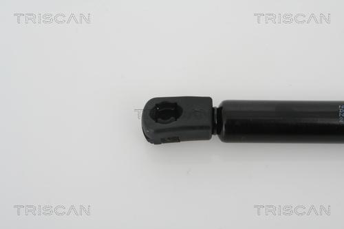 Triscan 8710 21205 - Газовая пружина, упор autospares.lv