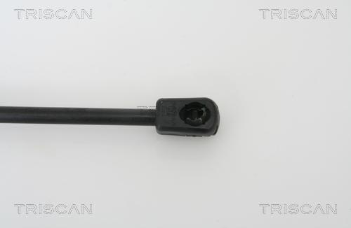 Triscan 8710 21205 - Газовая пружина, упор autospares.lv