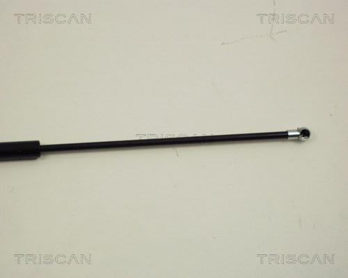 Triscan 8710 28216 - Газовая пружина, упор autospares.lv