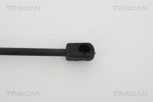 Triscan 8710 28228 - Газовая пружина, заднее стекло autospares.lv