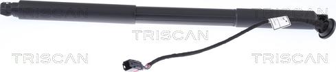 Triscan 8710 27302 - Газовая пружина, упор autospares.lv