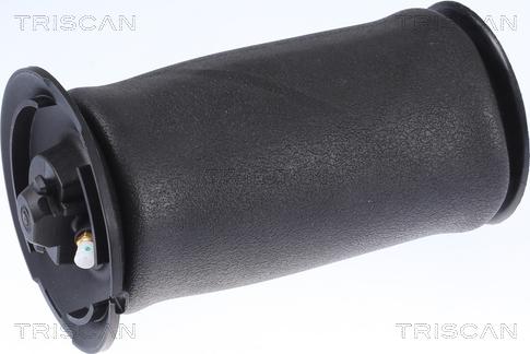 Triscan 8720 11202 - Пневматическая рессора, ходовая часть autospares.lv